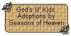God's lil' Kids Adoptions from Seasons of Heaven!