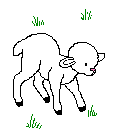 A Little Lamb